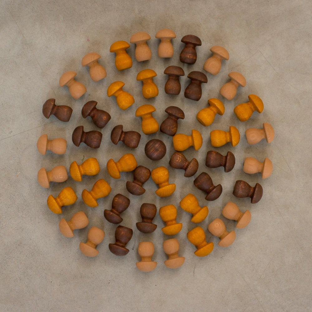 Grapat Grapat Loose Parts: Houten Paddenstoeltjes Bruin, 36 St. (Mandala Little Mushroom) 3 Grapat Grapat Loose Parts: Houten Paddenstoeltjes Bruin, 36 St. (Mandala Little Mushroom) - Afbeelding 3