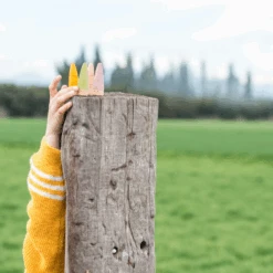 Grapat Houten Kabouters Gekleurd, 18st. (Sticks) -Speelwereld Aanbiedingen Winkel grapat houten kabouters gekleurd 18st sticks 2