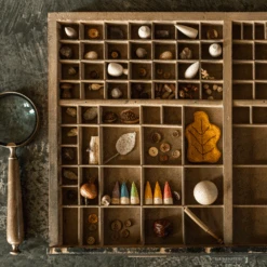 Grapat Houten Punt Poppetjes, 6st. In Koker (Baby Sticks) -Speelwereld Aanbiedingen Winkel grapat houten punt poppetjes 6st in koker baby sti 3