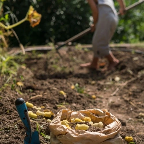 Grapat Houten Tulp 36 St (Mandala Tulip) 2 Grapat Houten Tulp 36 St (Mandala Tulip) - Afbeelding 2