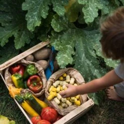 Grapat Houten Tulp 36 St (Mandala Tulip) 6 Grapat Houten Tulp 36 St (Mandala Tulip) -Speelwereld Aanbiedingen Winkel grapat houten tulp 36 st mandala tulip 2