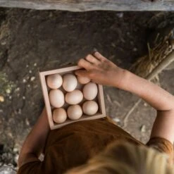 Grapat Opberg Doos (Storage Box) -Speelwereld Aanbiedingen Winkel grapat opberg doos storage box 3