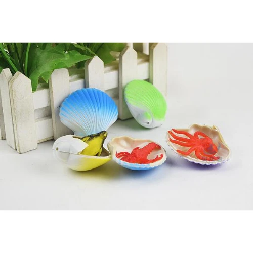 Groei-ei - Magische Zeeschelp, Assorti 2 Groei-ei - Magische Zeeschelp, Assorti - Afbeelding 2