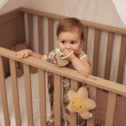 Jollein Babyspeelgoed - Siliconen Bijtring Teddy Bear