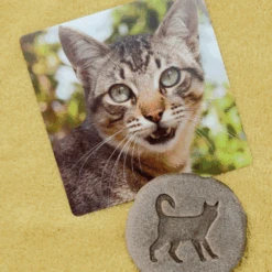 Yellow Door Sensomotorische Speelstenen, Experimenteren En Ontdekken - Fossiel Stenen Voetafdrukken Boerderijdieren, Set Van 8 -Speelwereld Aanbiedingen Winkel yellow door sensomotorische speelstenen experiment 4