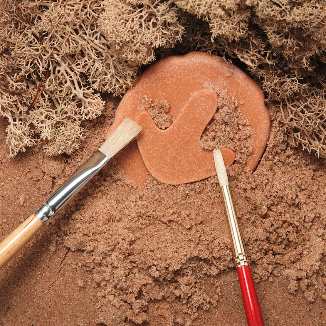 Yellow Door Sensomotorische Speelstenen - Pootafdrukken Dino's, Set Van 8 2 Yellow Door Sensomotorische Speelstenen - Pootafdrukken Dino's, Set Van 8 - Afbeelding 2