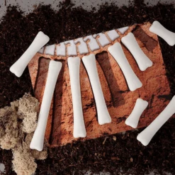 Yellow Door Yellow Door Educatief- Dino Botten Ontdek En Meetkaarten -Speelwereld Aanbiedingen Winkel yellow door yellow door educatief dino botten ontd 3